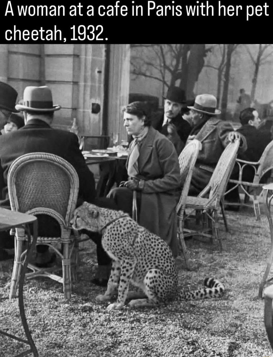 A woman at a cafe in Paris with her pet cheetah, 1932.