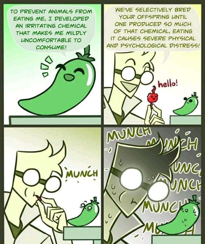 TO PREVENT ANIMALS FROM WEVE SELECTIVELY BRED EATING ME I PEVELOPED YOUR OFFSPRING LINTIL AN IRRITATING CHEMICAL ONE PRODUCED 50 MUCH THAT MAKES ME MILDLY OF THAT CHEMICAL EATING LNCOMFORTABLE TO IT CAUISES SEVERE PHYSICAL CONSUME AN PSYCHOLOGICAL PISTRESS S aLzwarRDS_CORNER WO azwarr