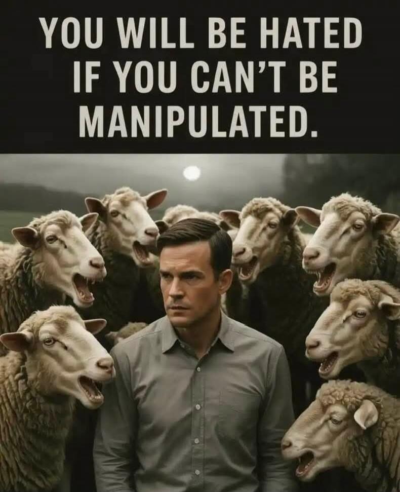 YOU WILL BE HATED IF YOU CAN'T BE MANIPULATED.