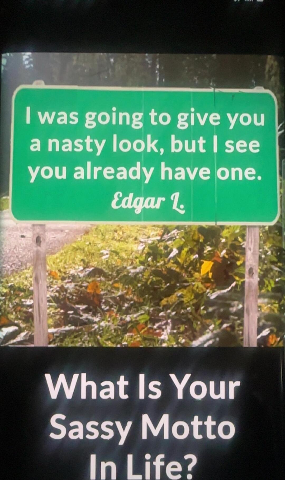I was going to give you a nasty look, but I see you already have one. Edgar L
What Is Your Sassy Motto In Life?