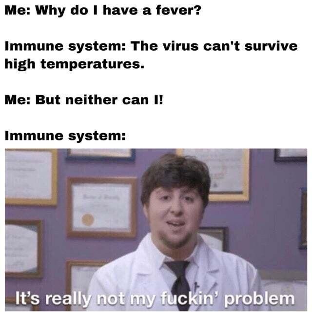 Me Why do have a fever Immune system The virus cant survive high temperatures Me But neither can I Immune system