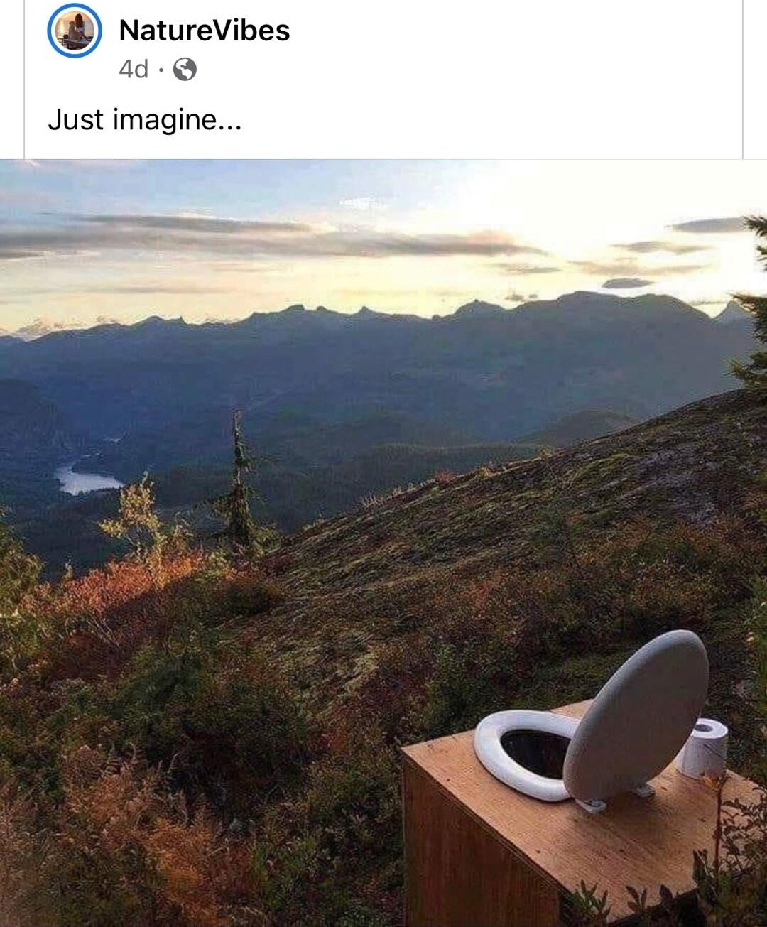 NatureVibes 4d Just imagine