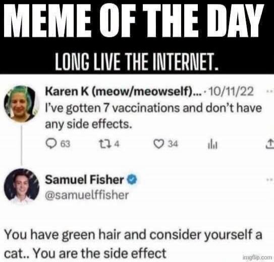 MEME OF THE DAY LONG LIVE THE INTERNET. Karen K (meow/meowself)... 10/11/22 I've gotten 7 vaccinations and don't have any side effects. Samuel Fisher @samuelffisher You have green hair and consider yourself a cat.. You are the side effect