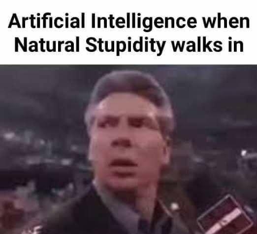 Artificial Intelligence when Natural Stupidity walks in
