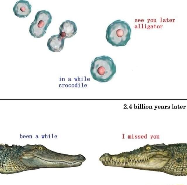 see you later alligator in a while crocodile 24 billion years later been a while 1 missed you e ol