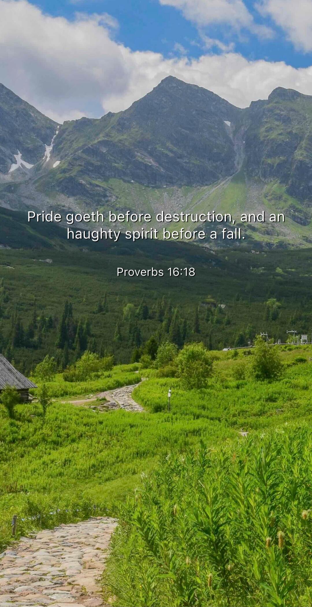 Pride goeth before destruction, and an haughty spirit before a fall.
Proverbs 16:18