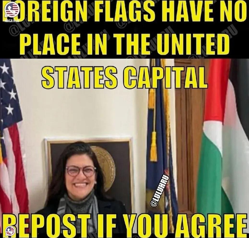 FOREIGN FLAGS HAVE NO PLACE IN THE UNITED STATES CAPITAL REPOST IF YOU AGREE