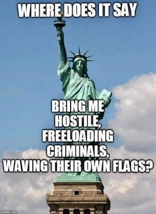 WHERE DOES IT SAY BRING ME HOSTILE, FREELOADING CRIMINALS, WAVING THEIR OWN FLAGS?