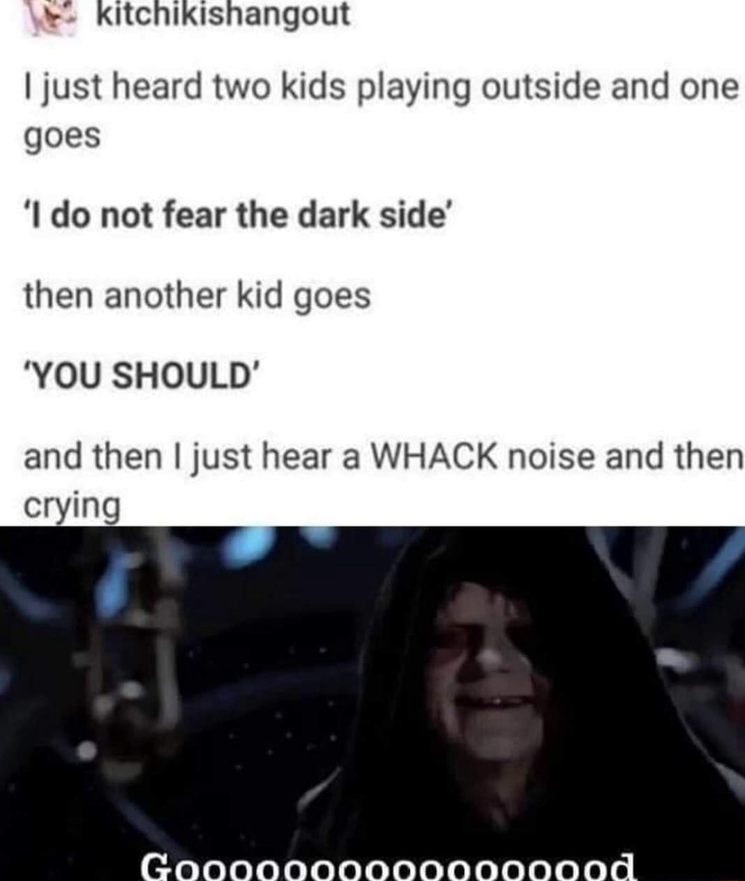 X Kitchikishangout just heard two kids playing outside and one goes I do not fear the dark side then another kid goes YOU SHOULD and then just hear a WHACK noise and then crying