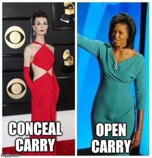 CONCEAL CARRY OPEN CARRY