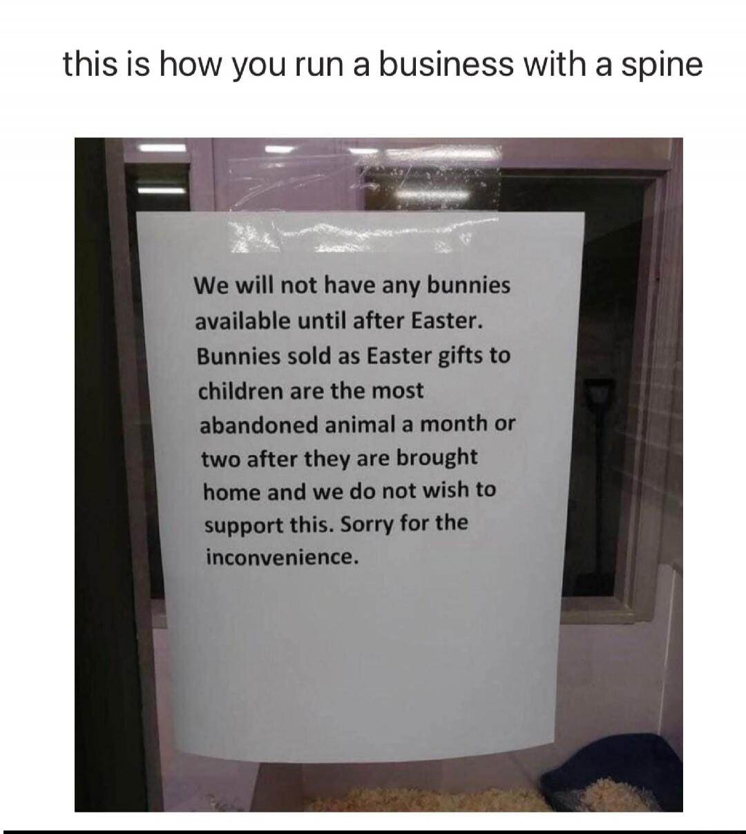 this is how you run a business with a spine We will not have any bunnies available until after Easter. Bunnies sold as Easter gifts to children are the most abandoned animal a month or two after they are brought home and we do not wish to support this. Sorry for the inconvenience.