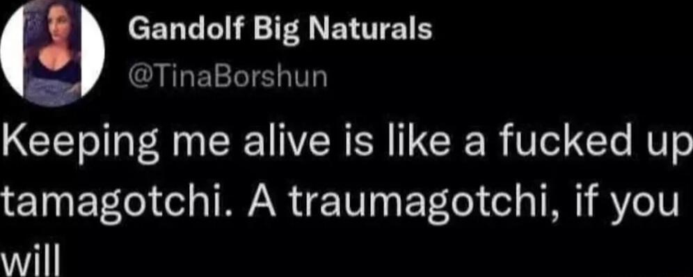 cELLLI R ETTETE GURELELTEL CET AN R ER IR R VI T T tamagotchi A traumagotchi if you will