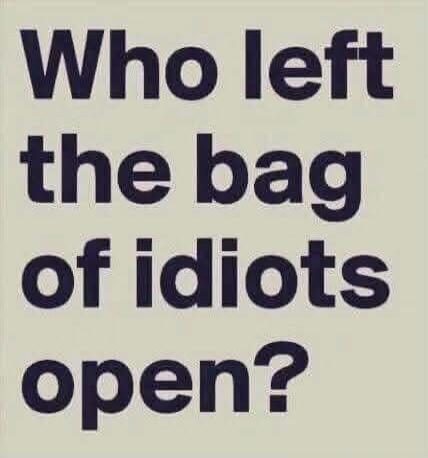 Who left the bag of idiots open?