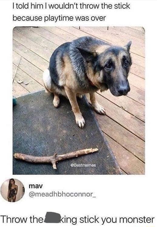 Itold him wouldnt throw the stick because playtime was over mav meadhbhoconnor_ Throw the Mlking stick you monster