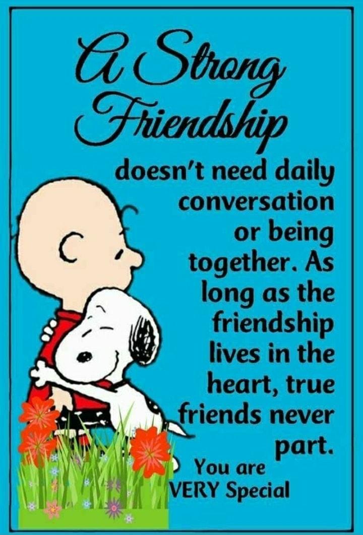 0 Stuang il doesnt need daily conversation or being together As long as the friendship lives in the heart true friends never part You are ERY Special