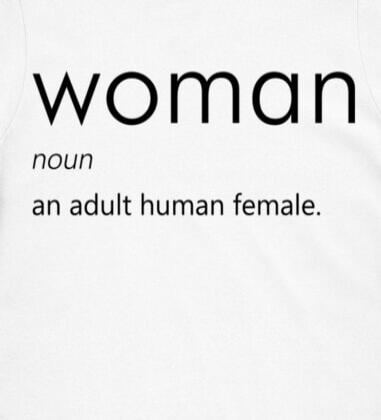 WOMAN noun an adult human female.