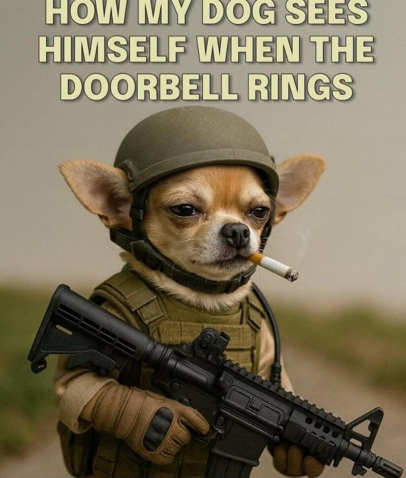 HOW MY DOG SEES HIMSELF WHEN THE DOORBELL RINGS