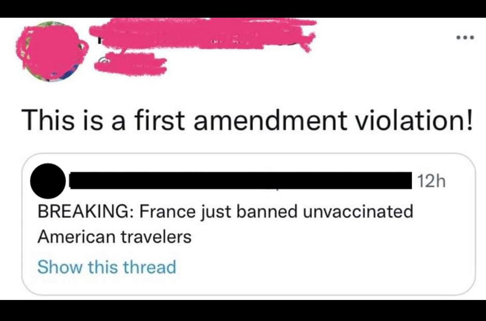 This is a first amendment violation _m BREAKING France just banned unvaccinated American travelers Show this thread