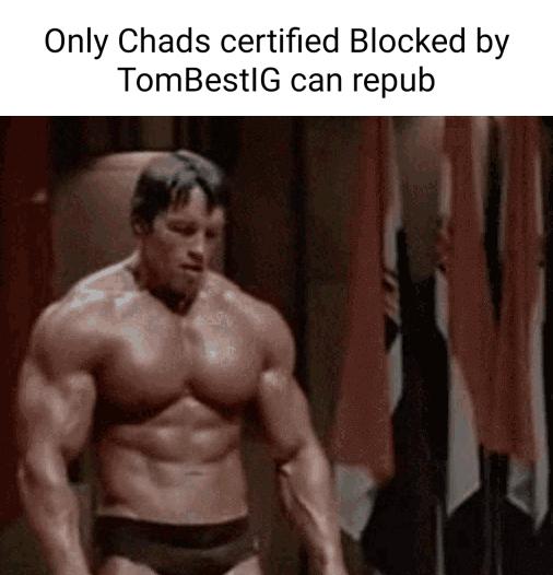 Only Chads certified Blocked by TomBestIG can repub Q x l s _