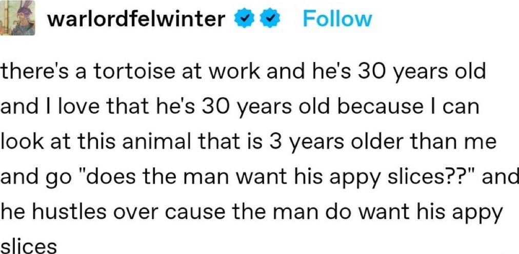 warlordfelwinter Follow theres a tortoise at work and hes 30 years old and love that hes 30 years old because can look at this animal that is 3 years older than me and go does the man want his appy slices and he hustles over cause the man do want his appy slices