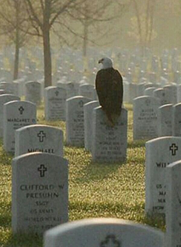 CLIFFORD W PRESUHN SSGT US ARMY WORLD WAR II MARGARET MICHAEL WIL