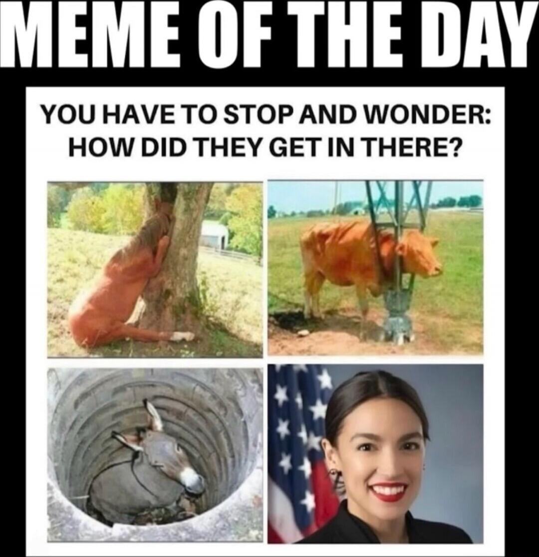 MEME OF THE DAY YOU HAVE TO STOP AND WONDER: HOW DID THEY GET IN THERE?