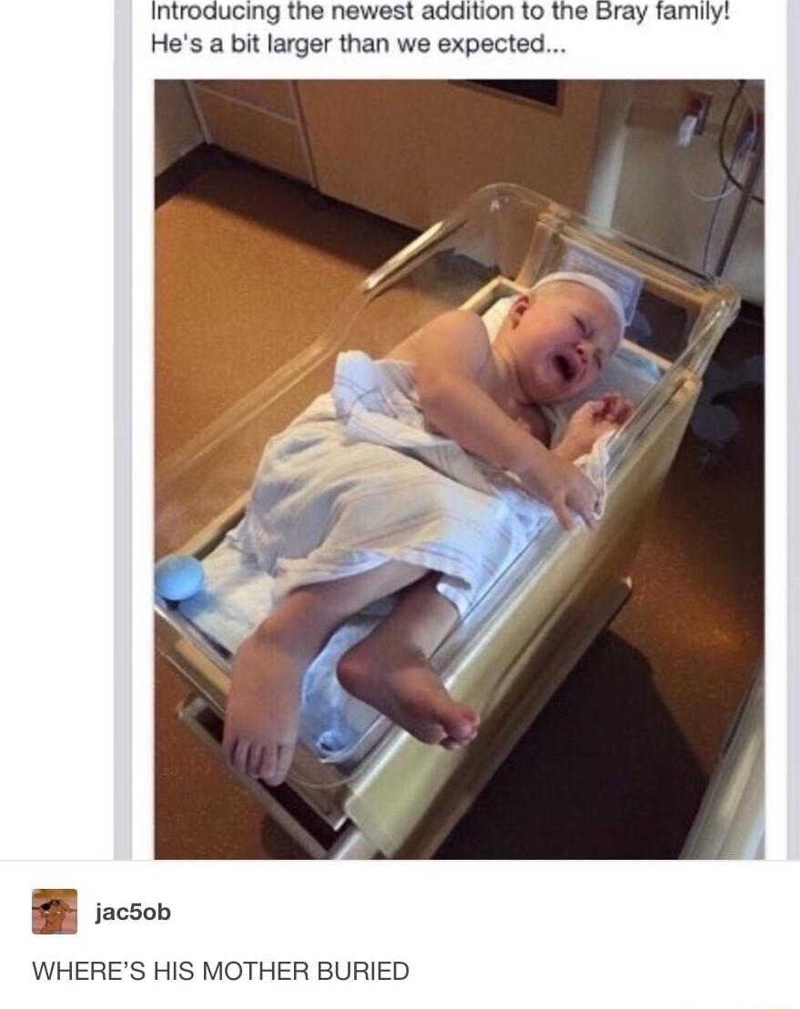 introducing the newest addition to the Hes a bit larger than we expected jacSob WHERES HIS MOTHER BURIED