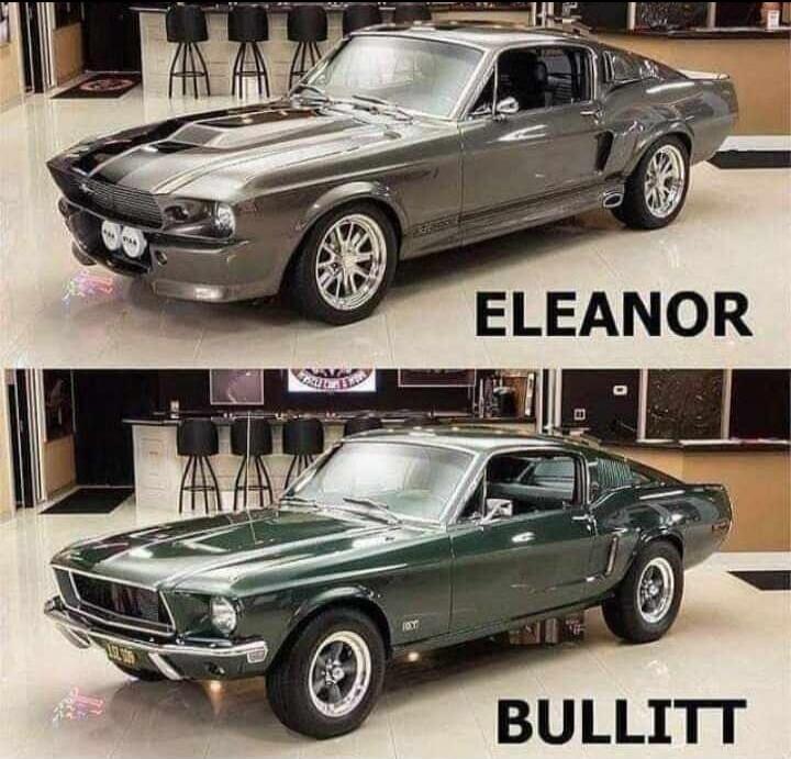 ELEANOR BULLITT