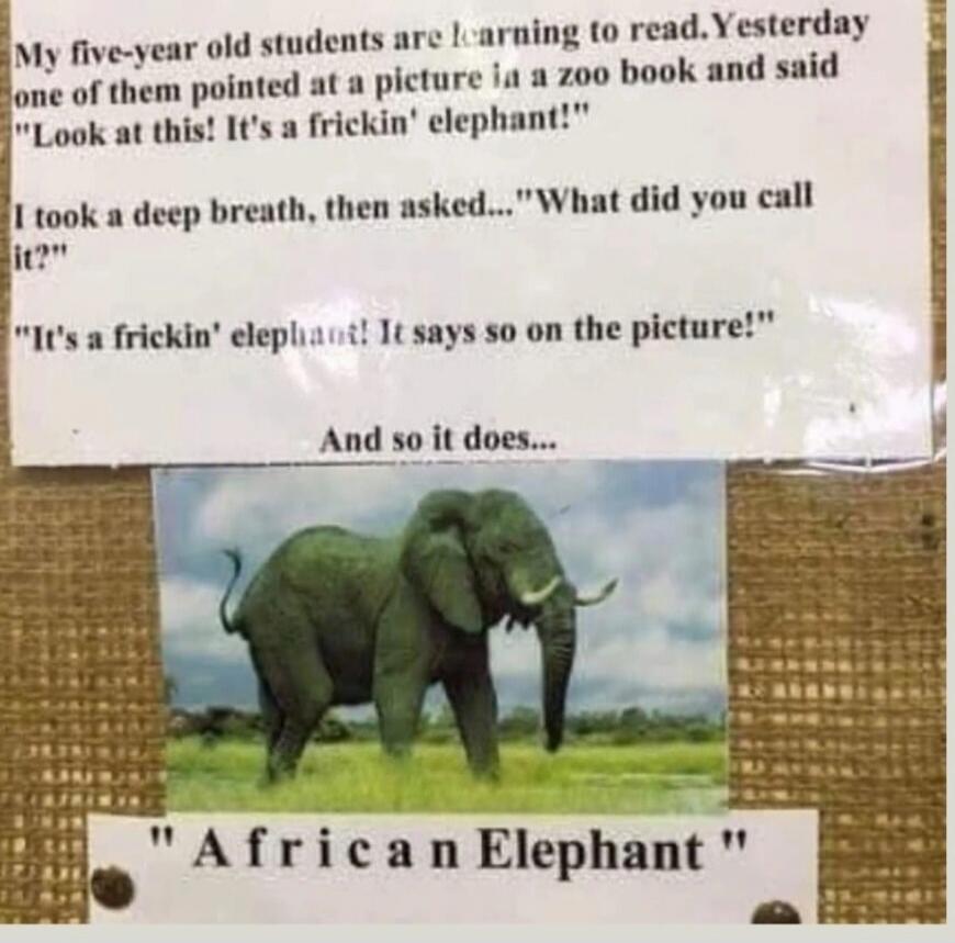 My five-year-old students are learning to read. Yesterday one of them pointed at a picture in a zoo book and said 