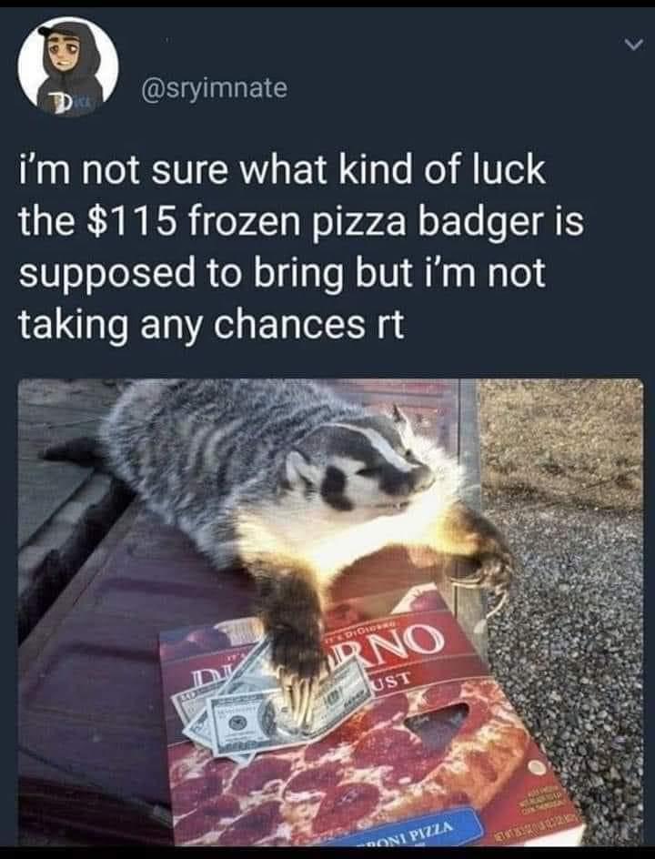 v e B im not sure what kind of luck the 115 frozen pizza badger is supposed to bring but im not taking any chances rt