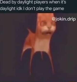 Dead by daylight players when its daylight idk dont play the game okindrip