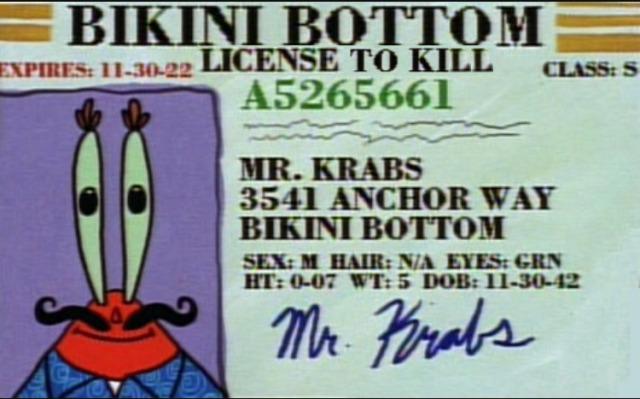 BIKINI BOTTOM xemes 113022 LICENSE TO KILL CLASS S A5265661 MR KRABS 3541 ANCHOR WAY BIKINI BOTTOM SEX M HAIR VA EYES GRN HT 0 07 WT5 DOB 11 30 42 M Fuoter