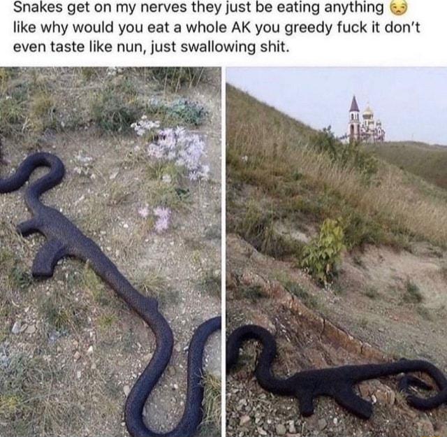 Snakes get on my nerves they just be eating anything like why would you eat a whole AK you greedy fuck it dont even taste like nun just swallowing shit
