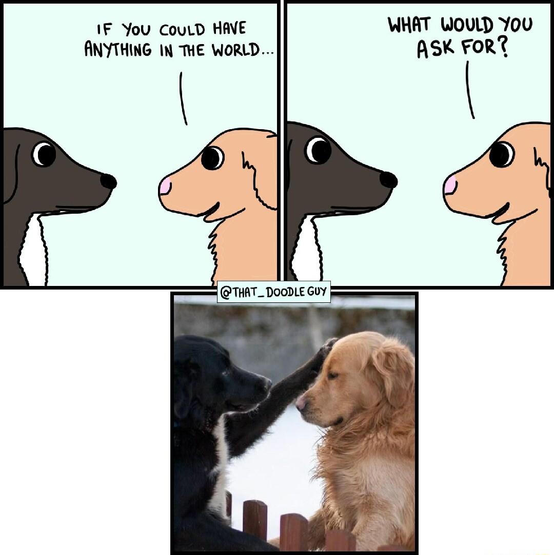 IF You CoulD HAVE WHAT WouLd You ANYTHING IN THE WORLD ASK FORT