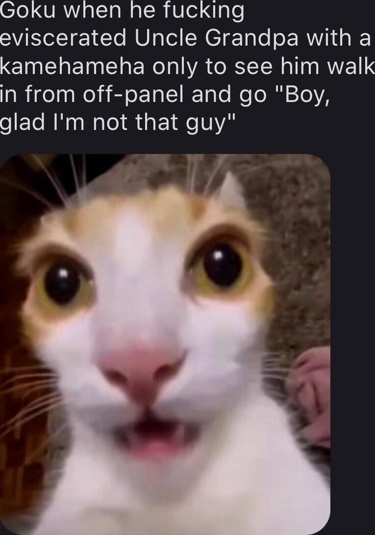 Goku when he fucking eviscerated Uncle Grandpa with a kamehameha only to see him walk in from off panel and go Boy oEleRNnN IR EINVA