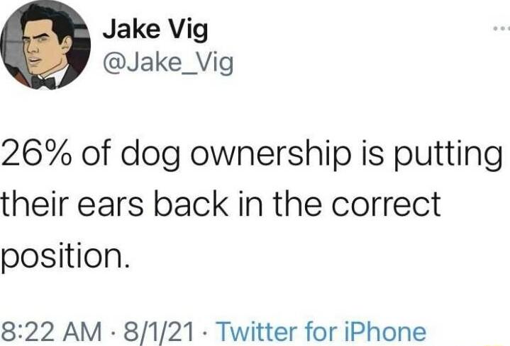 Jake Vig Jake_Vig 26 of dog ownership is putting their ears back in the correct position 822 AM 8121 Twitter for iPhone