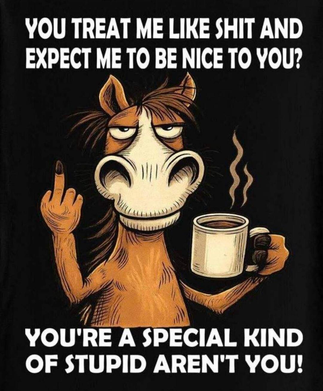 YOU TREAT ME LIKE SHIT AND EXPECT ME TO BE NICE TO YOU? YOU'RE A SPECIAL KIND OF STUPID AREN'T YOU!