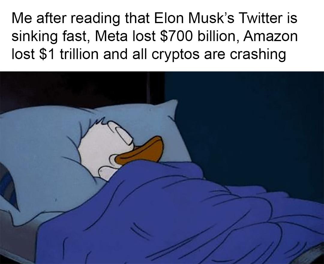 Me after reading that Elon Musks Twitter is sinking fast Meta lost 700 billion Amazon lost 1 trillion and all cryptos are crashing
