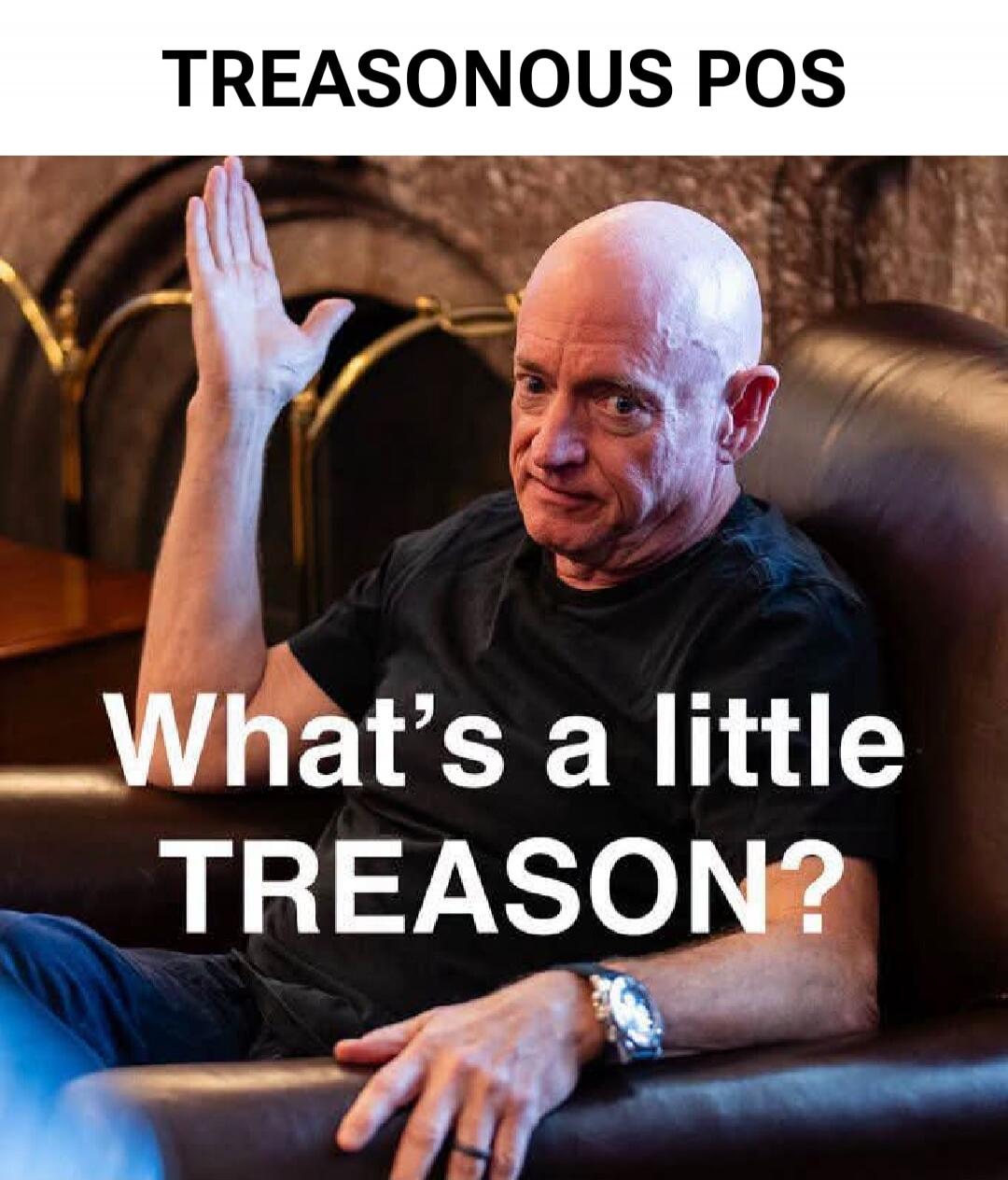 TREASONOUS POS What's a little TREASON?