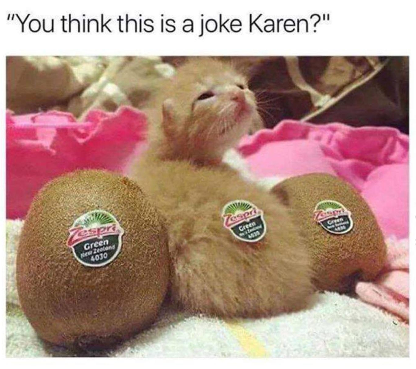 You think this is a joke Karen