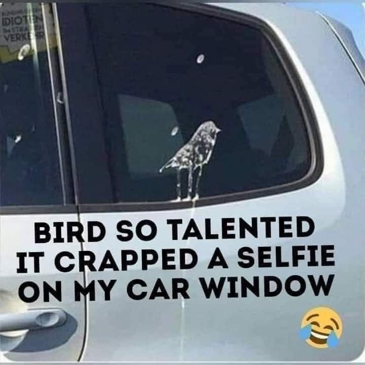 ON MY CAR WINDOW Sk