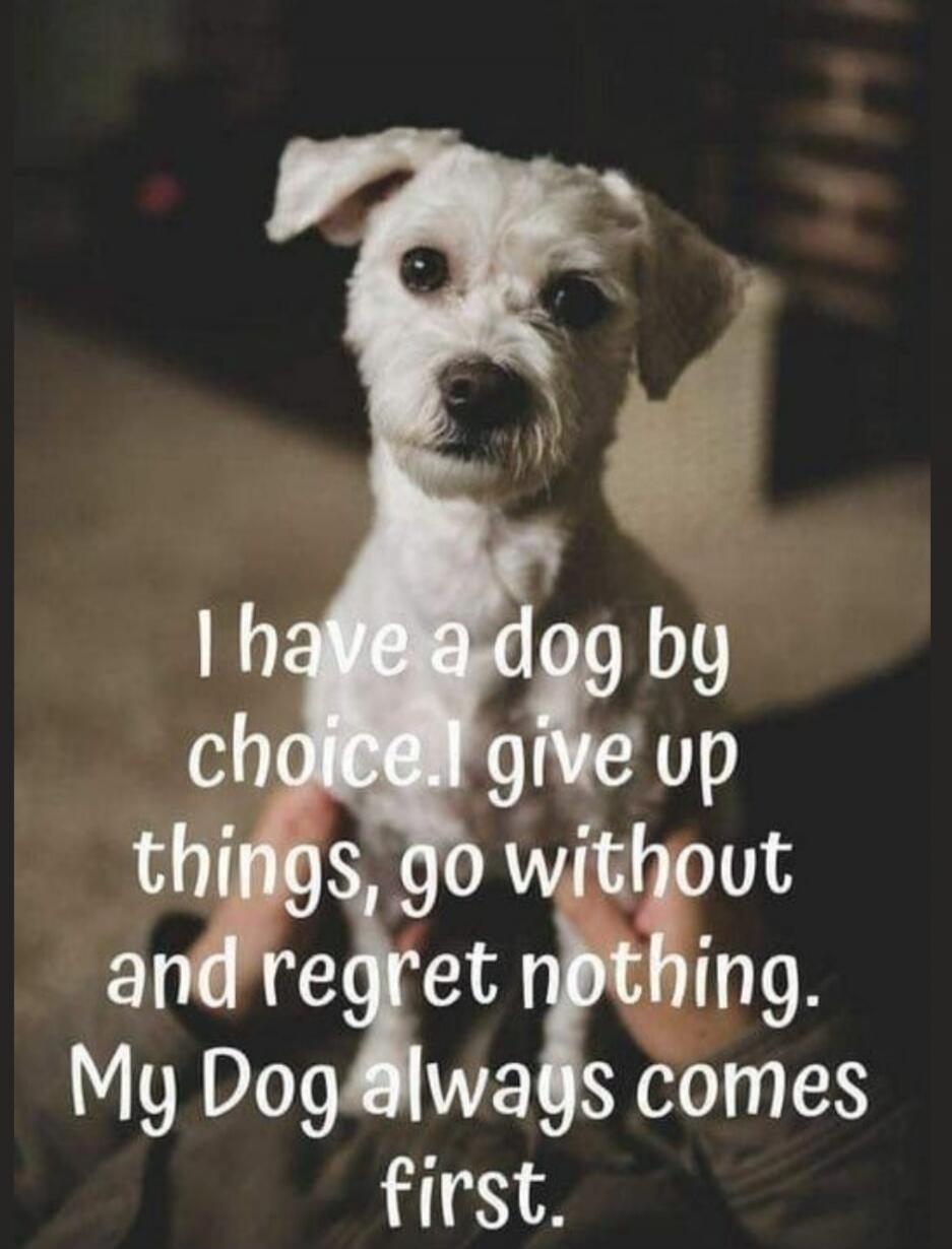 I have a dog by choice. I give up things, go without and regret nothing. My Dog always comes first.
