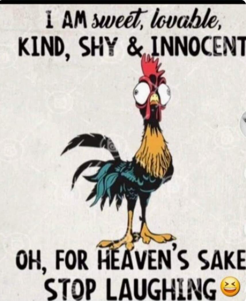 I AM sweet, lovable, KIND, SHY & INNOCENT OH, FOR HEAVEN'S SAKE STOP LAUGHING 😆