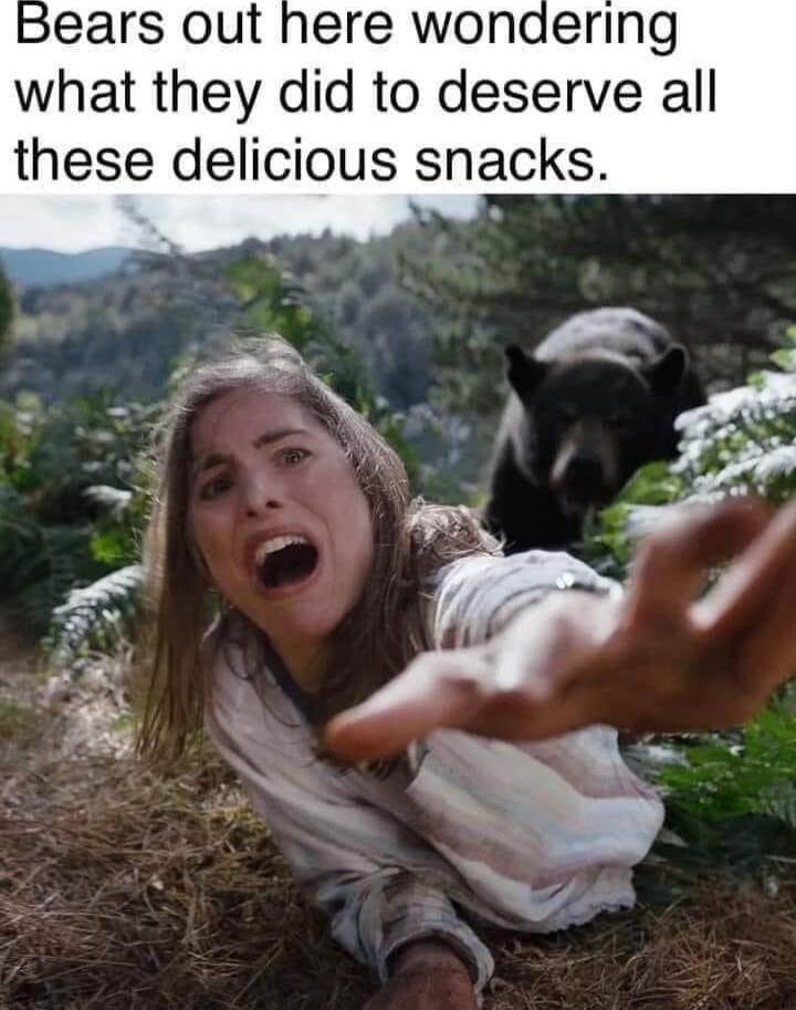 Bears out here wonaering what they did to deserve all these delicious snacks