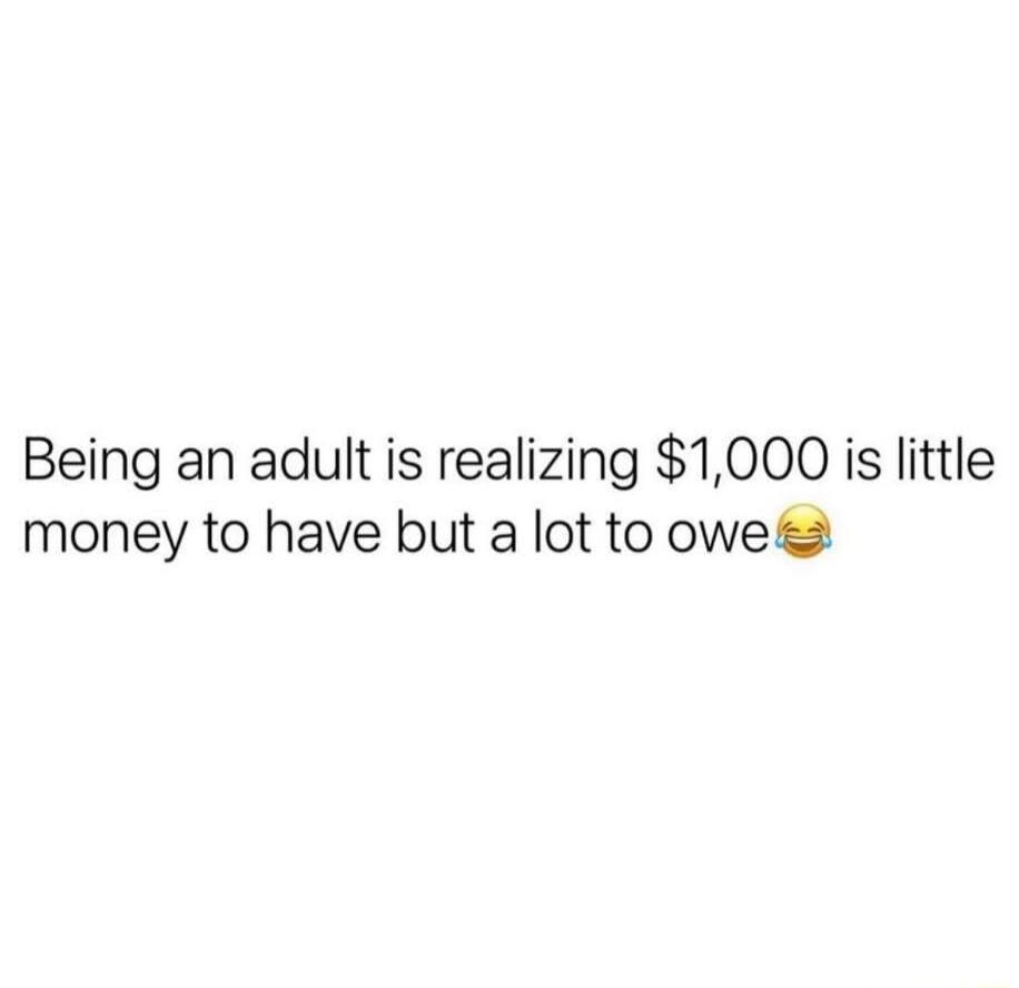 Being an adult is realizing 1000 is little money to have but a lot to owe 2