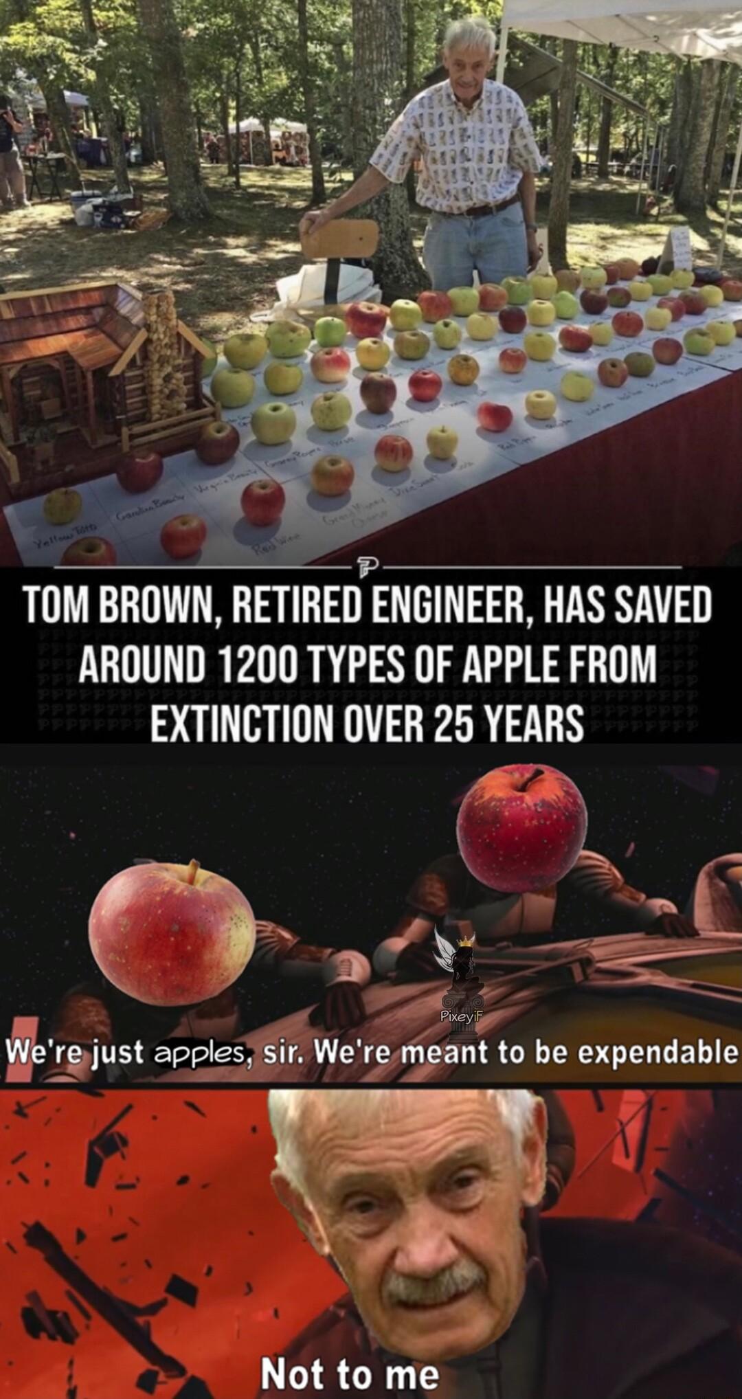 TOM BROWN RETIRED ENGINEER HAS SAVED AROUND 1200 TYPES OF APPLE FROM EXTINCTION OVER 25 YEARS y Ch 4 R rgyjust apples sir We_en deant to be expendable