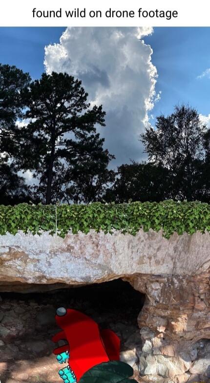 found wild on drone footage