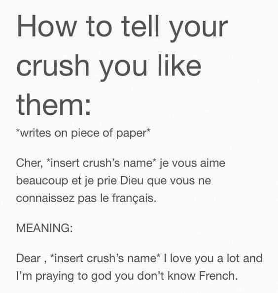 How to tell your crush you like them writes on piece of paper Cher insert crushs name je vous aime beaucoup et je prie Dieu que vous ne connaissez pas le frangais MEANING Dear insert crushs name love you a lot and Im praying to god you dont know French Source let it go and live again i 49834 notes