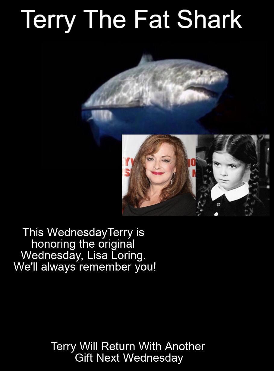 Terry The Fat Shark This WednesdayTerry is honoring the original Wednesday Lisa Loring Well always remember you Terry Will Return With Another el DRRUTERERGEN