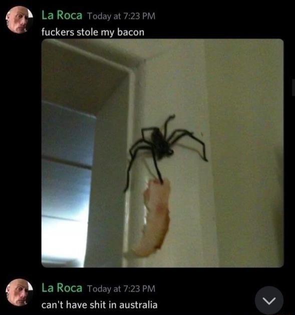 LaRoca Today at 723PM fuckers stole my bacon LaRoca Todayat 723PM cant have shit in australia